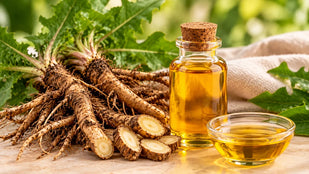 Dandelion Root